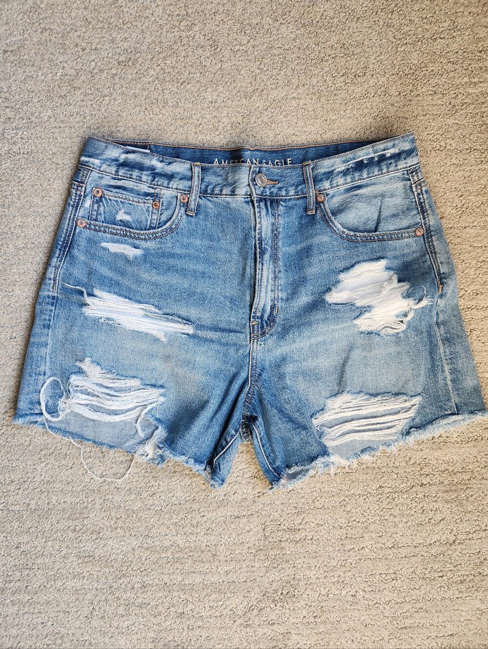 American Eagle Outfitters Light Blue Distressed Denim Cutoff Shorts